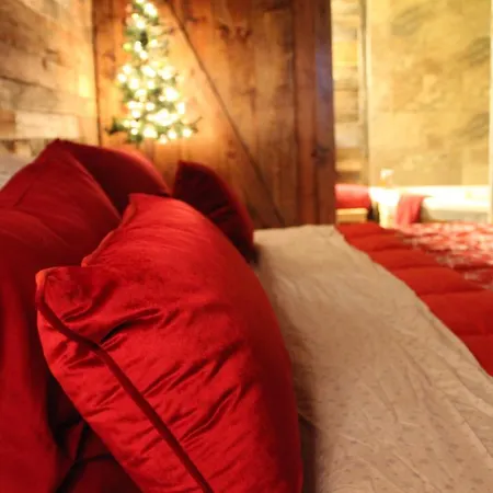 Rural Life On A Real Christmas Tree Farm! Hallmark Experience! Ozark Exterior photo