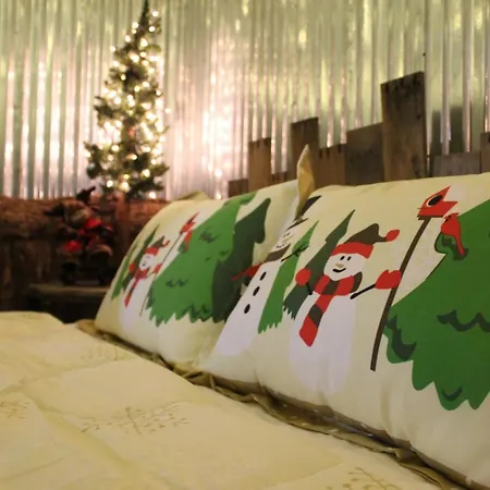 Rural Life On A Real Christmas Tree Farm! Hallmark Experience! Ozark Exterior photo
