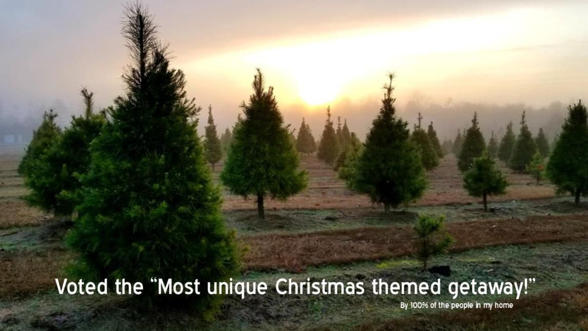 Rural Life On A Real Christmas Tree Farm! Hallmark Experience! Hébergement de vacances
