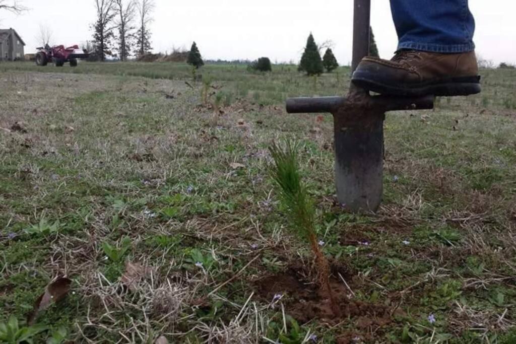 Rural Life On A Real Christmas Tree Farm! Hallmark Experience! Hébergement de vacances *