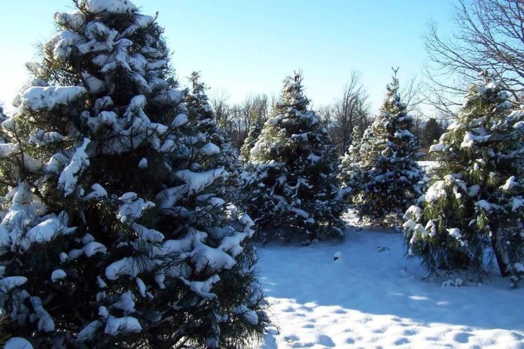 Hébergement de vacances Rural Life On A Real Christmas Tree Farm! Hallmark Experience! *
