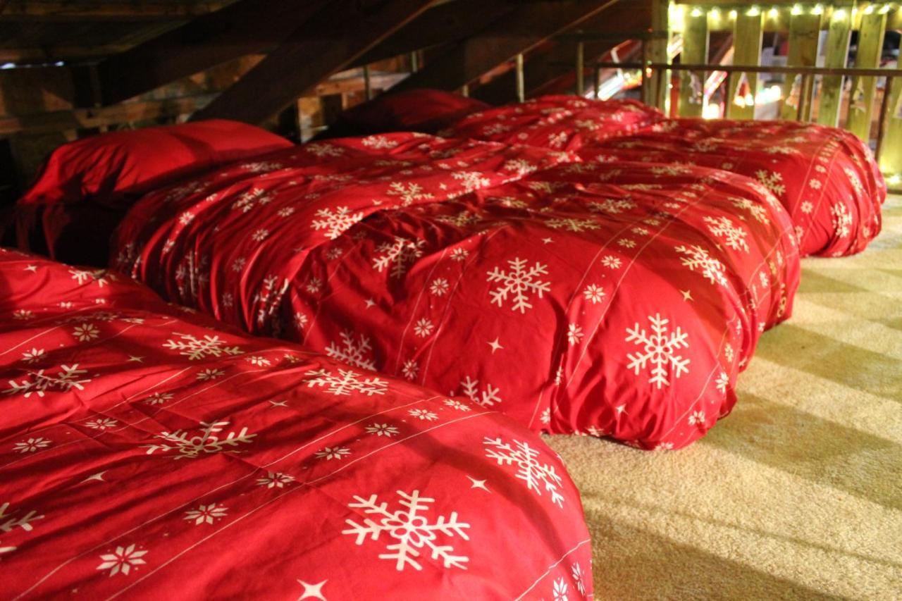 Rural Life On A Real Christmas Tree Farm! Hallmark Experience!