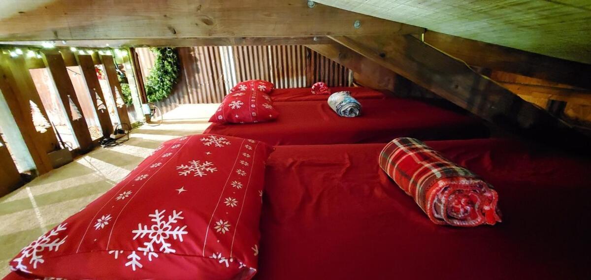 Rural Life On A Real Christmas Tree Farm! Hallmark Experience! Hébergement de vacances