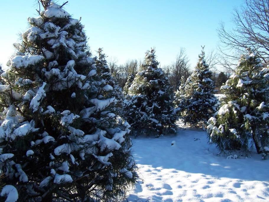 Hébergement de vacances Rural Life On A Real Christmas Tree Farm! Hallmark Experience! *