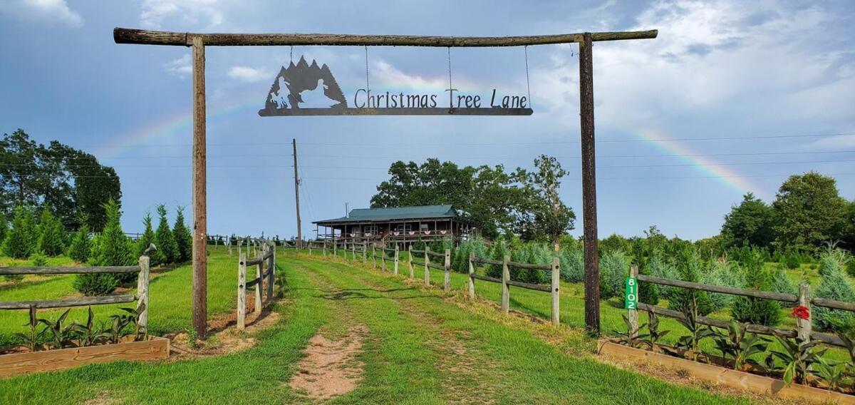 Rural Life On A Real Christmas Tree Farm! Hallmark Experience! Hébergement de vacances